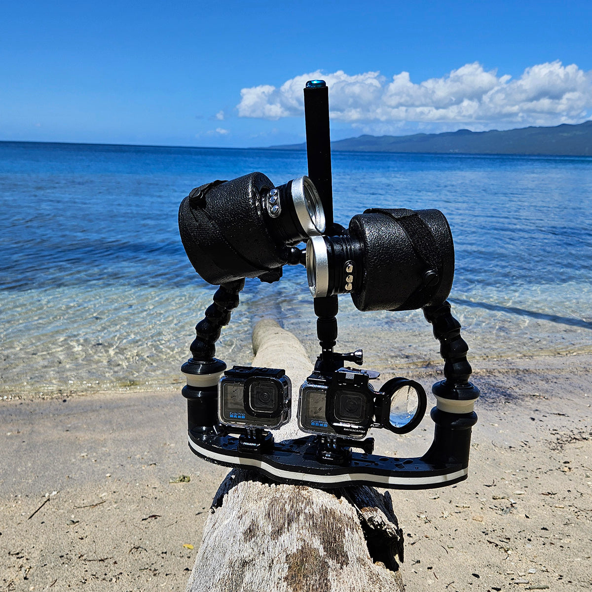 "Manta Wing" TRAY ONLY