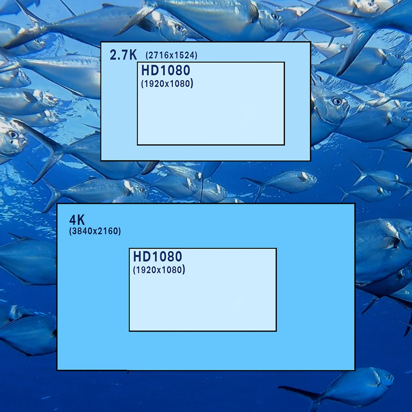 4K PRO (FLAT) GoPro QR codes for HERO9-HERO12