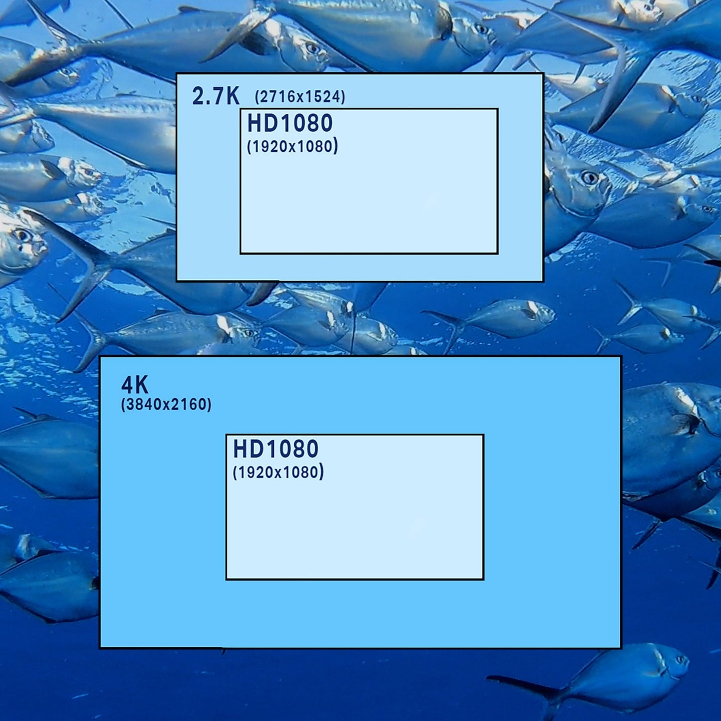 3-Card Package for HERO9-HERO11