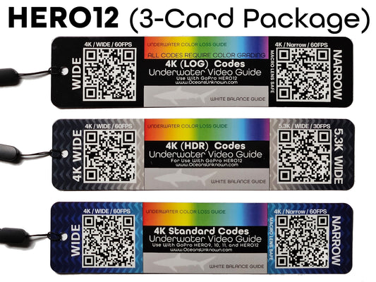 GoPro Hero12 HDR/LOG/Standard 3-Card Package